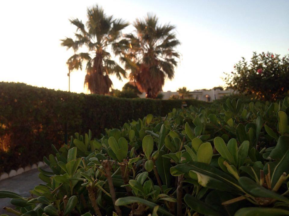 Hotel Complexe Touristique Sidi Salem Bizerta Exterior foto